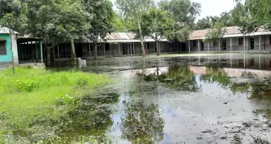 উলিপুরে পচা পানির দুর্গন্ধ ও মশার উপদ্রব, অনুপস্থিত থাকে শিক্ষার্থীরা