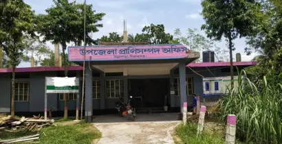 ভুয়া পশু চিকিৎসকের দৌরাত্ম্যে বাড়ছে ক্ষতির আশঙ্কা