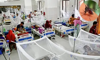 বরিশালে ডেঙ্গু আক্রান্ত দুইজনের মৃত্যু