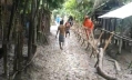 সড়কে এখন হাঁটু সমান কাঁদা, চলাচলে দুর্ভোগ