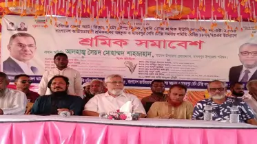 দেশে বিএনপির বিরুদ্ধে পরিকল্পিত অপপ্রচার চলছে
