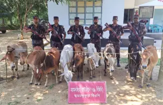 গারো পাহাড়ি সীমান্ত এলাকা থেকে ৯টি গরুসহ সাড়ে তেরো লাখ টাকা মূল্যের ভারতীয় পণ্য জব্দ