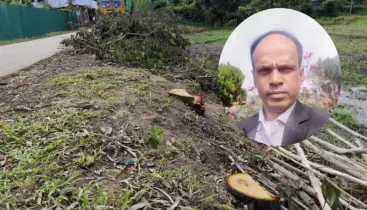 সড়কের গাছ কেটে বিক্রি করা সেই প্রধান শিক্ষককে জরিমানা, গাছ জব্দের নির্দেশ