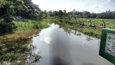 চট্টগ্রামের চন্দনাইশে দখল-দূষণে বিপর্যস্ত নিশিকান্ত চিকন খাল