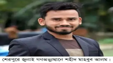 জুলাই শহীদ মাহবুব হত্যা:চার্জশিটের বিষয়ে আদালতে বাদীর নারাজী আবেদন