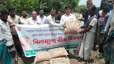 চরফ্যাসনে অতিবৃষ্টিতে ক্ষতিগ্রস্ত বীজতলার চাষীরা পাচ্ছেন আমন ধান বীজ 