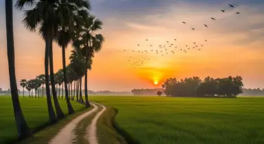 ভোরের বাতাস ও সূর্য ওঠার আগেই জাগার আশ্চর্য উপকারিতা
