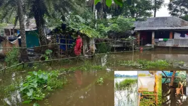 যশোরের ভবদাহ অঞ্চলে পানিবন্দি শত শত পরিবার