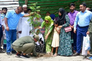 শহীদ স্মরণে গাছের ছায়া - রাজবাড়ীতে ‘এক শহীদ, এক বৃক্ষ’ বাস্তবায়ন