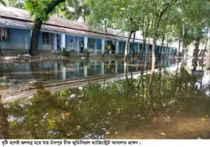 জলমগ্ন চাঁদপুর চীফ জুডিসিয়াল ম্যাজিস্ট্রেট আদালত প্রাঙ্গণ, চরম ভোগান্তি