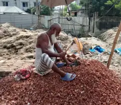 জীবনের শেষ সময়েও ইটের খোয়া ভেঙ্গে চালাতে সংসার 