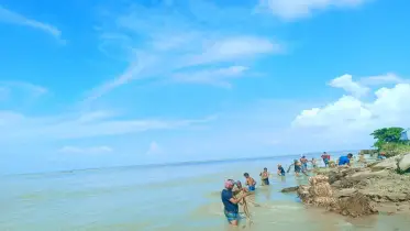 পাটের আঁশ ধোয়ার উপযুক্ত পদ্ধতি 
