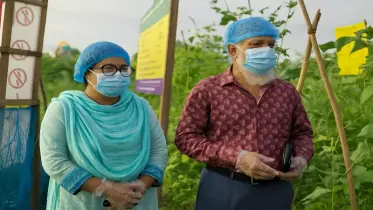 সবজি খেতে বিয়ে বাড়ির ছোঁয়া! দক্ষিণগ্রামে ‘গ্যাপ’ চাষে কৃষি বিপ্লব