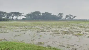 সাপাহারে নালিশী সম্পত্তির দখল নিয়ে উত্তেজনা: ভূমি অফিস ও পুলিশের প্রতি
