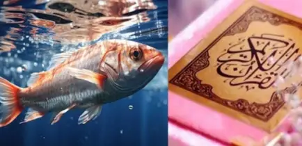 যে কারণে মাছের জবান কেড়ে নিয়েছেন আল্লাহ্!