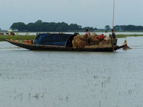 অস্তিত্ব সংকটে হাওরের জেলে পেশা