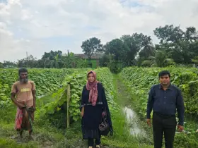 রূপগঞ্জে হিমাগার না থাকায় বছরে কোটি টাকার সবজি  নষ্ট হচ্ছে সবজি: ক্ষতিগ্রস্ত হচ্ছেন চাষি ও ব্যবসায়ীরা