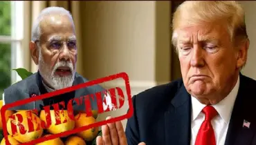ভারতের আম ফিরিয়ে দিল যুক্তরাষ্ট্র