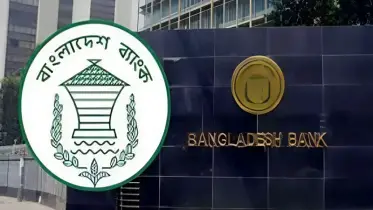 খেলাপি ঋণ আদায়ে পাঁচ-ছয় বছরের রোডম্যাপ চাইবে কেন্দ্রীয় ব্যাংক