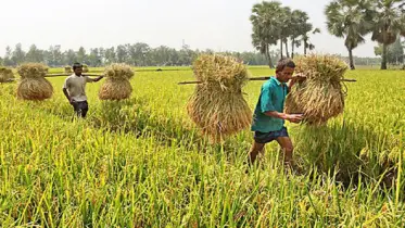 কৃষিভিত্তিক খাতে কর অব্যাহতি প্রত্যাহার করা হতে পারে 