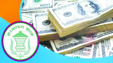 রিজার্ভ ফের ৩০ বিলিয়ন ডলারের ঘরে