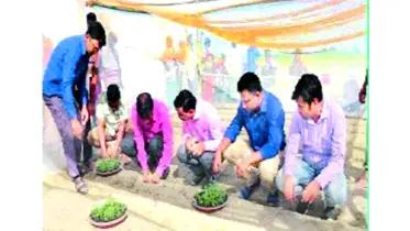 জীবন্ত আলুর জাদুঘর এক আশ্চর্য সংগ্রহশালা