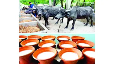 ঐতিহ্যবাহী খাবার হিসেবে যুগ যুগ ধরে সমাদৃত