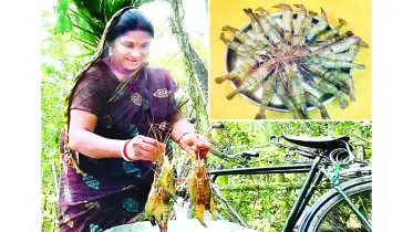 কুড়িগ্রামে মৎস্য চাষিদের মনে আশার আলো