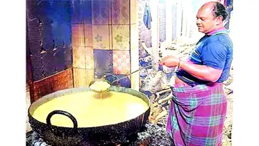 ফুলছড়ি বালাশী তিস্তামুখঘাট স্বাদে ভরা অতুলনীয় প্রিয় রসমঞ্জুরি