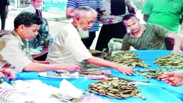 হাছু মিয়ার চ্যাপা শুঁটকি দেশ-বিদেশে কদর