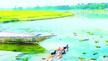 নৈসর্গিক রূপের খনি জীববৈচিত্র্যের লীলাভূমি