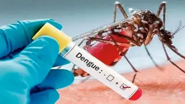 কুমিল্লায় ডেঙ্গুতে তিন জনের মৃত্যু