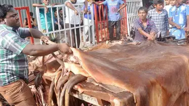 চামড়া সিন্ডিকেট ভাঙতে উদ্যোগ নিচ্ছে সরকার