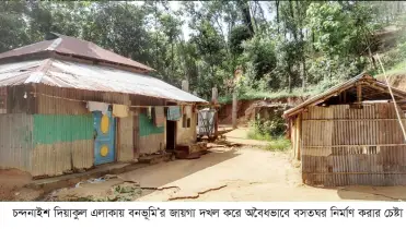 চন্দনাইশে বনভূমিতে অবৈধ দখল বাণিজ্য