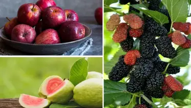 ডায়াবেটিস নিয়ন্ত্রণে রাখতে চান? তাহলে যে ৩ টি ফল আপনার জন্য