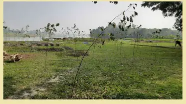 জোরপূর্বক জমি দখলের আশঙ্কা হলে কী করবেন?