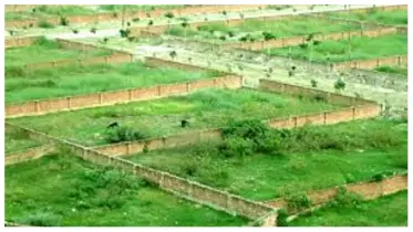 ১ মিনিটেই আপনার জমি মাপবেন যেভাবে