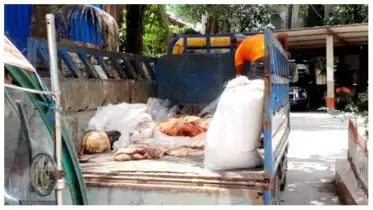 মরা গরুর মাংস খুলনার হোটেল-রেস্তোরাঁয়! সাতক্ষীরায় ধরা পড়ল কুখ্যাত চক্র