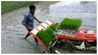 আধুনিক কৃষি প্রযুক্তি এবং কৃষকের জীবন পরিবর্তন