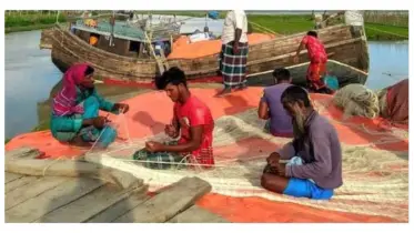 নোয়াখালীর হাতিয়ায় ভরা মৌসুমে ইলিশের আকাল চলছে