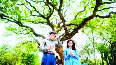 বিদেশের প্রেক্ষাগৃহে ‘উৎসব’
