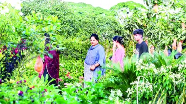 বায়ান্না বাজার তিপ্পান্ন গলি