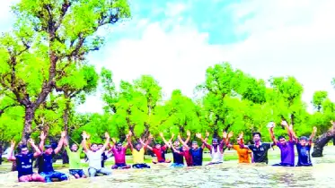 সমুদ্র বন ও নদীর মেলবন্ধনে  অপূর্ব সৌন্দর্যের আধার