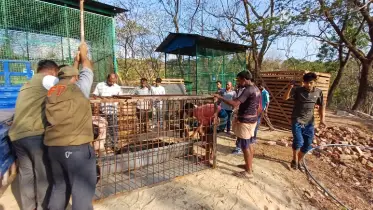 বান্দরবানে আদালতের নির্দেশে বন্ধ ‘মিনি চিড়িয়াখানা’