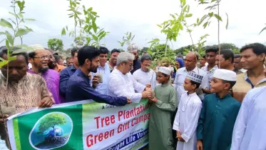 মোহনপুরে মাদরাসায় বৃক্ষরোপণ ও শিক্ষার্থীদের মাঝে চারা বিতরণ