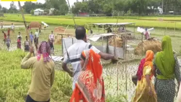 ইসলামপুরে জমি জবরদখলের চেষ্টা: নারীসহ আহত ২০