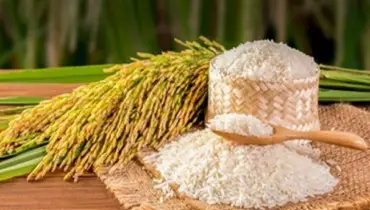 বিশ্বের চাল বাজারে ভারতের অদৃশ্য রাজত্ব!