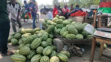 মিষ্টির পরিবর্তে শ্বশুর বাড়ি যাচ্ছে তরমুজ