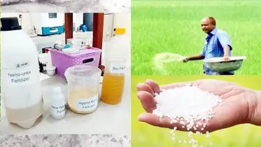 ফসল উৎপাদনে ন্যানো ফার্টিলাইজার