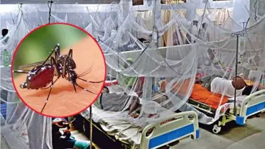 দাউদকান্দিতে ডেঙ্গু জ্বরে আক্রান্ত হয়ে আরও একজনের মৃত্যু, মৃতের সংখ্যা বেড়ে ৭